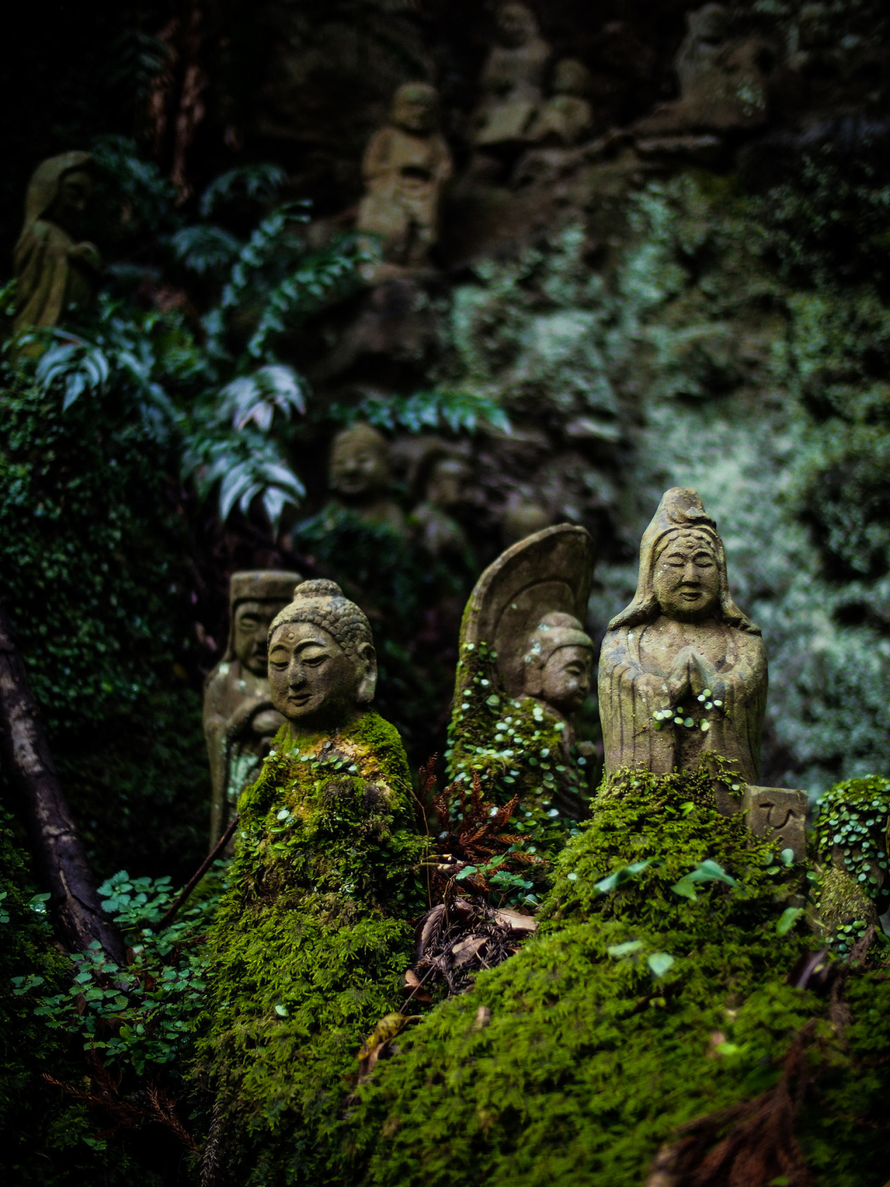 miizukizu:  By : t*tomorrow(Do not remove credits) 