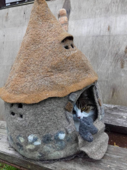 sosuperawesome:Felt Cat Caves by Elzy Wool on Etsy