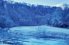 hermionesgranger:  ♔ Harry Potter Meme: Three Colours [3/3]↳ Blue 