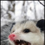 severalratsinatrechcoat