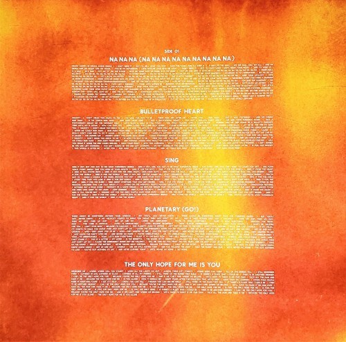 vinylkilledtheradiostar