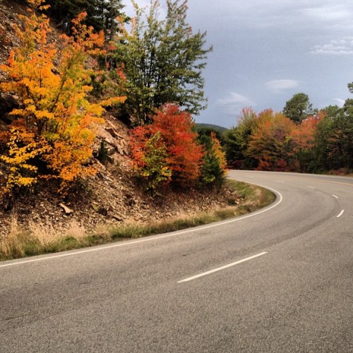 Autumn artistry on scenic Highway 259. (at Kiamichi Mountain Hwy 259)