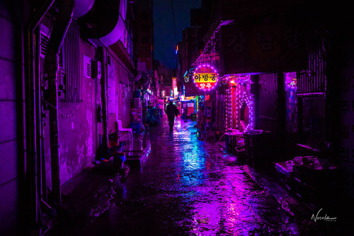 noealzii: Rainy Seoul 2049 - Reblog and follow plz:)  www.instagram.com/noealzii