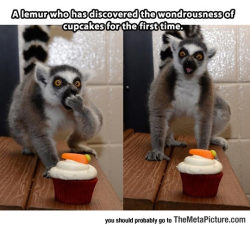 srsfunny:Eating A Cupcake For The First TimeMe…every