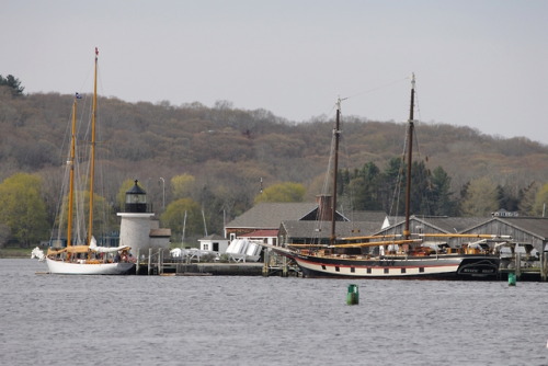 thebrassglass: Tall ships on a spring day in Mystic, Connecticut.