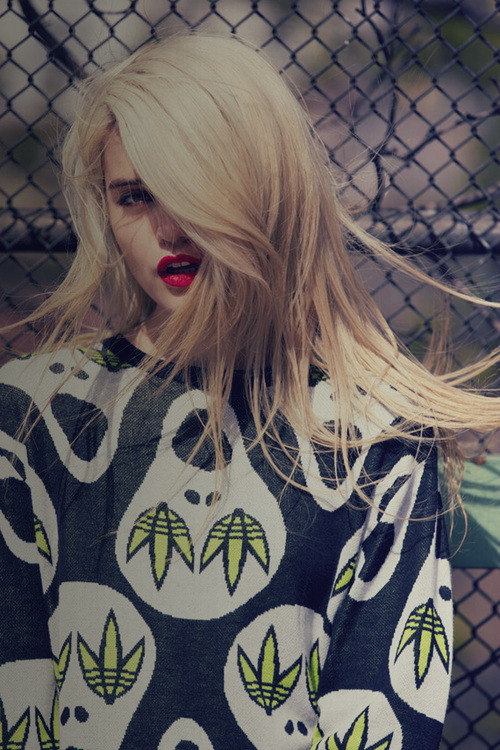 my-fuckedup-won-der-land:  quiet-desperati0n:  Fame, Liquor, Love  ✥✝Grunge/Disp☹sable✝✥