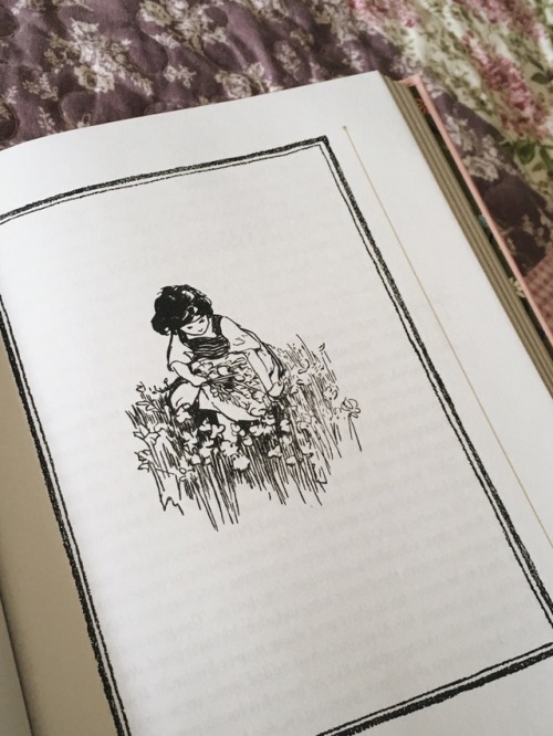 silkfaun:thefaithfulreader:Barnes and Noble’s newest collectible edition is adorable Beautiful