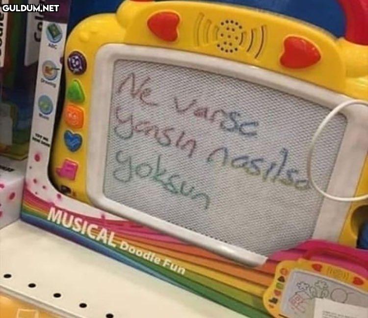 Aşkından divane oldu...