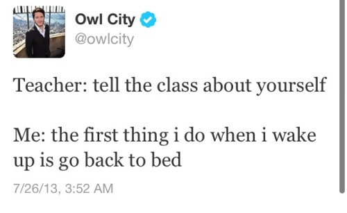 wowthatshipster: lookaliveesunshineee: I don’t care if you don’t like Owl City can we al