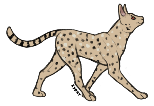 Serval for Kalliste on Lioden