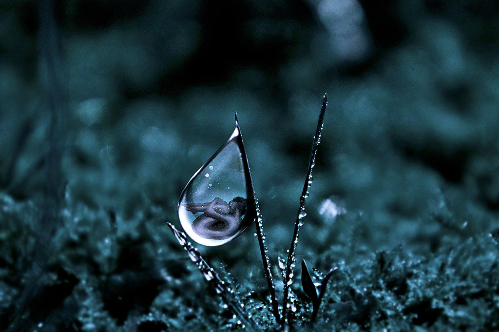  TheOpalDreamCave: A fairy in the making (by *Omerika*). Please retain artist’s