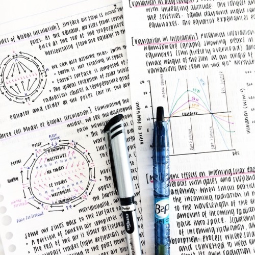 afternaomi: 31st march 2017: [ 17/100 days of productivity ] taken from my ig: @studyrelief​ // i st