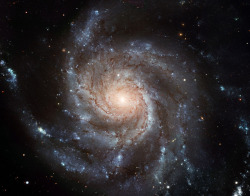 just–space:  Pinwheel Galaxy: the largest