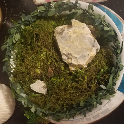 I Bought Some Moss At The Store And Put A Leaf Circle Around It. My Mom Put My Rocks Into It And Honestly
