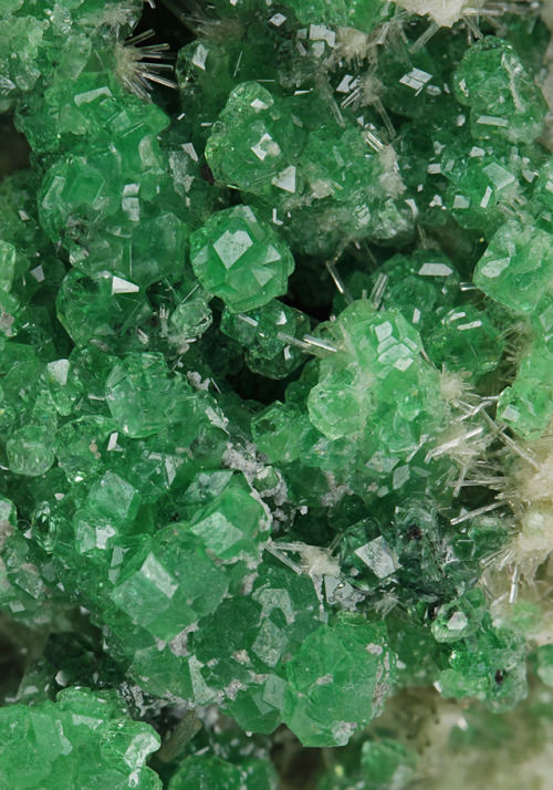 Chromium enriched Grossular with Diopside - Jeffrey Mine, Asbestos, Richmond Co., Quebec, Canada