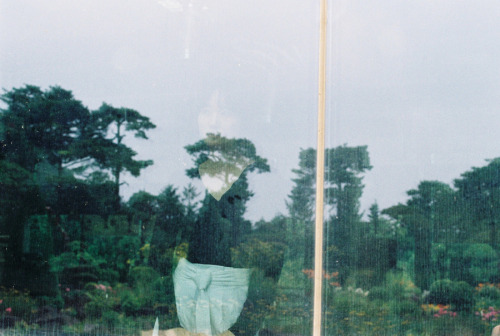Photography by momomi