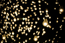 anti-matt:  I Love Lamp (by Anti-Matt) The Scattered Lights display at Kings park as part of the 2013 Perth International Arts Festival.  
