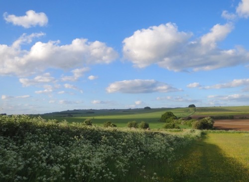 geopsych:Walking up Waden Hill from West Kennet Avenue, looking back behind you from Waden Hill, and