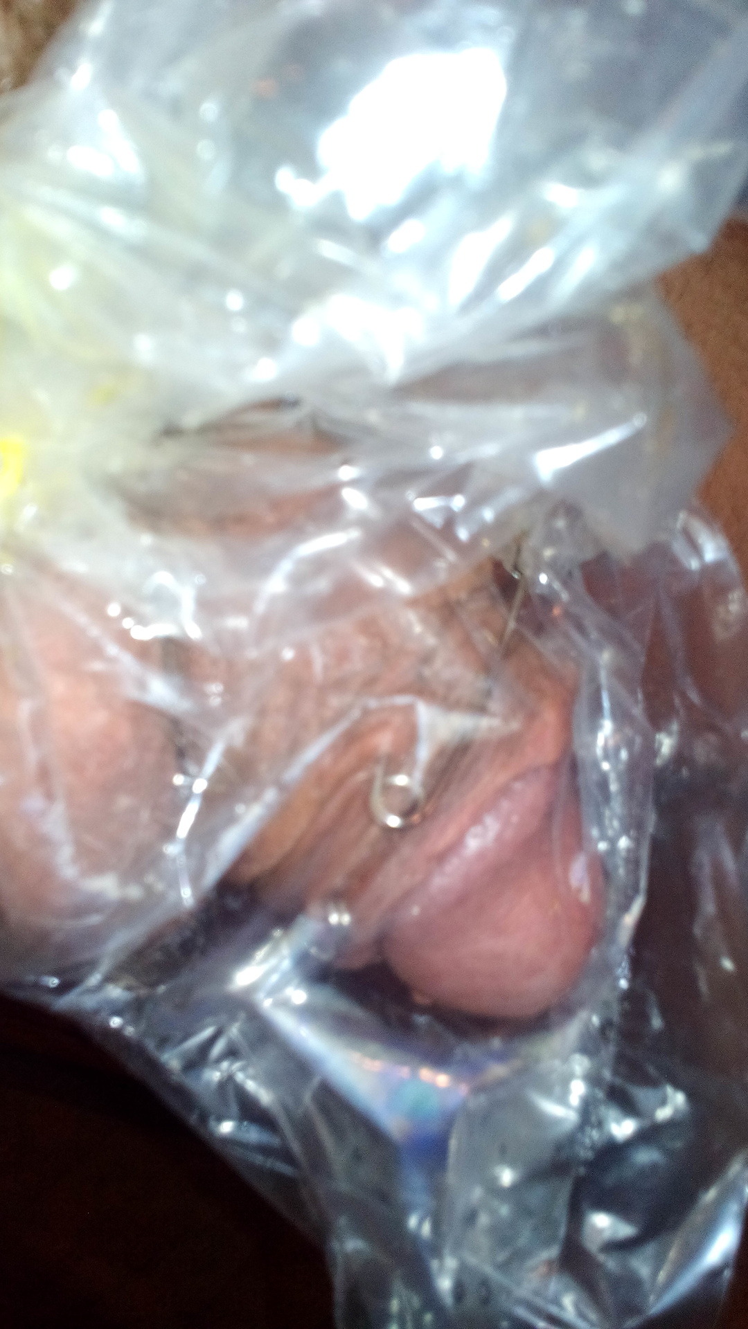 Schweinepimmel eingetütet