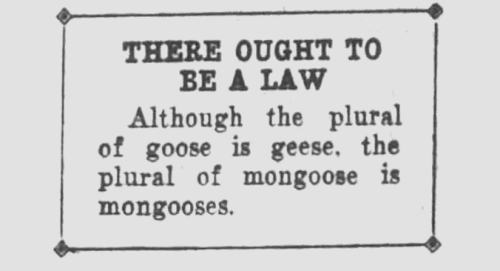 yesterdaysprint:The Knoxville News-Sentinel, Tennessee, October 31, 1935