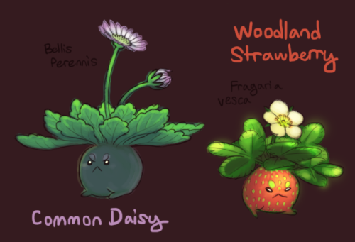 jayrockin:  More oddish variants. At this point I’m basically just drawing my favorite plants with legs. 
