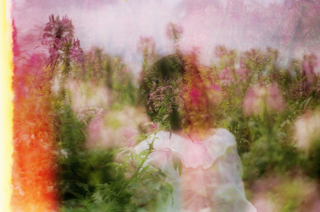 lily-cats:  (by hui+)
