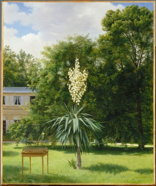 amare-habeo:Antoine Chazal (French, 1793-1854)Yucca gloriosa blooming in 1844 in Neuilly Park (