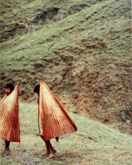 equatorjournal:Leaf raincoats, Timor, 1979https://www.instagram.com/p/B1cEH99gEia/?igshid=1g77z89r6gpx4
