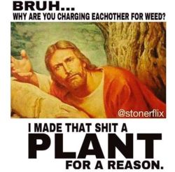 dirtbaby2016:Jesus really said this