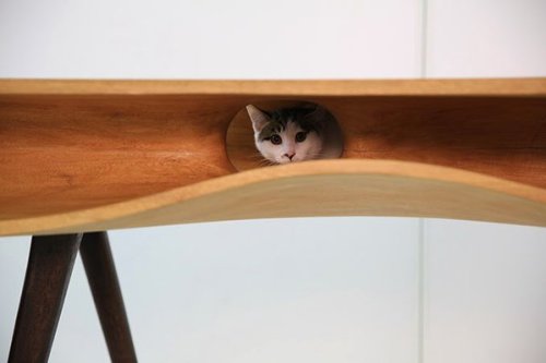 carudamon119:  あまん‏@buddhobhagavan香港の猫好きアーティストがデザインした、猫がテーブルの上に乗ってきにくくしつつ、近くに居れるという"CATable"
