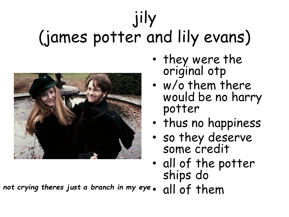 lizthefangirl:  A slideshow about some book otps that are flawless. NOTE: There is