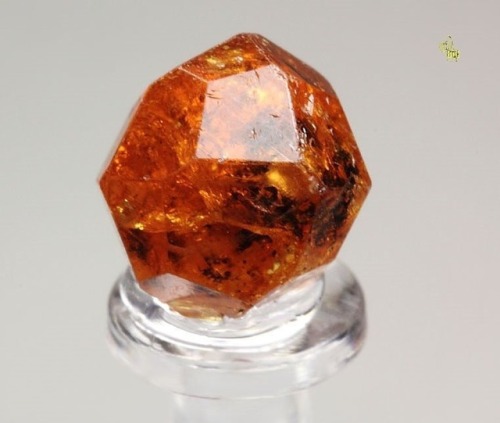 geologypage:  Gem Garnet var. Spessartine | #Geology #GeologyPage #Mineral  Locality: Nani Hill, Loliondo, Arusha Region, Tanzania Size: 8mm x 7mm x 6mm   Photo Copyright © QUEBUL FINE MINERALS   Geology Pagewww.geologypage.com