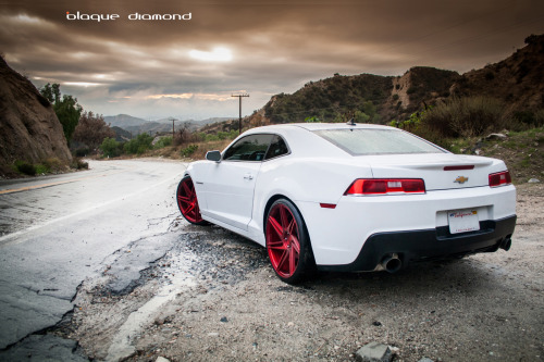 Chevy Camaro with 22 Inch BD-1’s in Blood Diamond