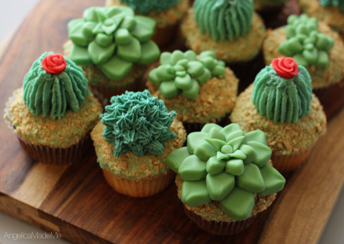 Porn thecupcakemaniac:  Cacti Cupcakes  photos