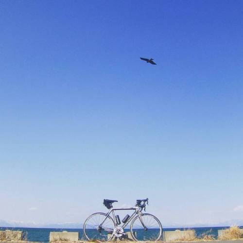 biwakofreeride: #ロードバイク #琵琶湖  #roadbike #lakebiwa #ride  #cannondale #cannondalebikes #supersix #can