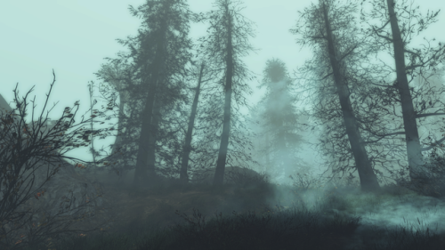 andoy-screenshots:Far Harbor foggy forest 