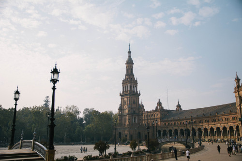 alexandrarog