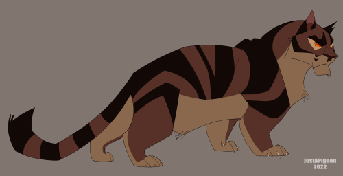 justapigeonn: Tigerclaw/star