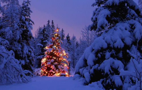 rosieandherramblings:  Merry Christmas!