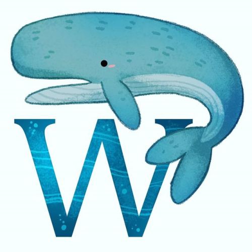 W is for whale.  . . . . #whale #alphabet #sea #kids #kidsbooks #bookshelf #kidslit #kidslibrary #ki