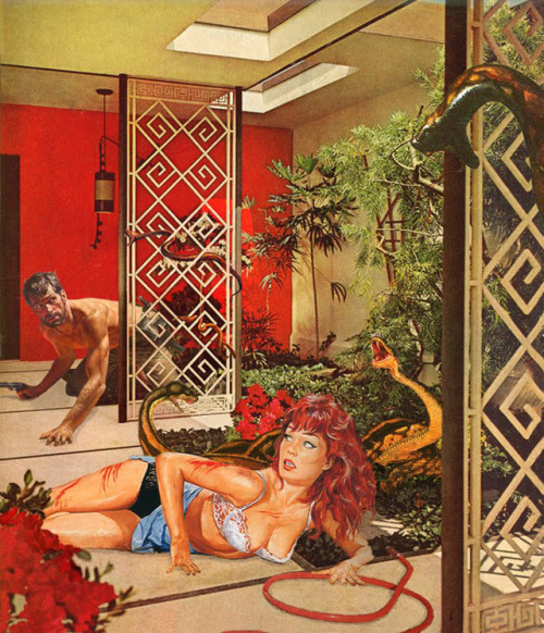 photocollages of Nadine Boughton