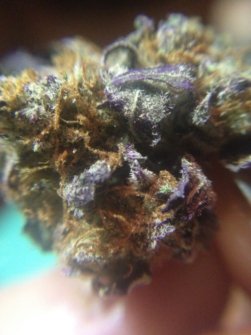 msstrawberrycough: god’s gift 