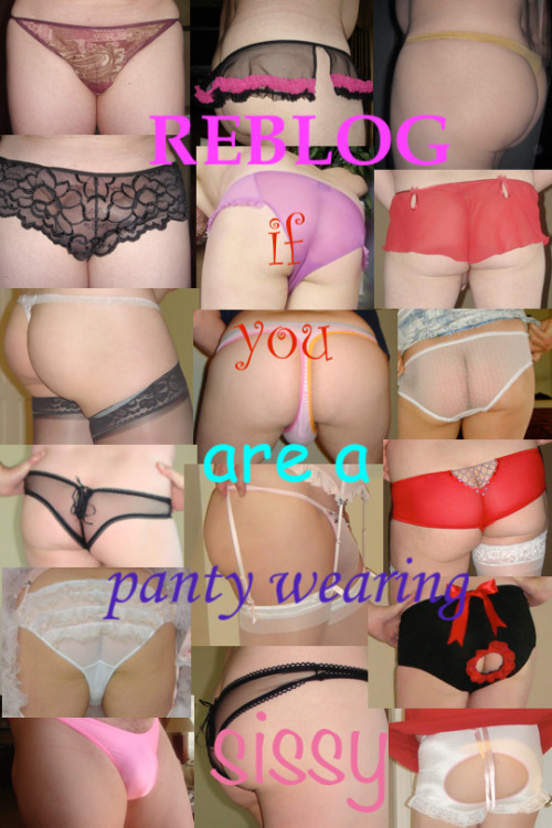 tgirlinthemirror:  joseybaby: All so sexy  Panties are a gateway drug.