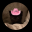 babycowgirlblogs
