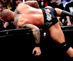 jasindarkblood:  ♥ Randy Orton Butt ♥