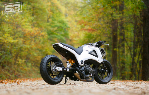 Honda GromBike Curious - S3 Magazine