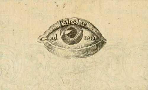 magictransistor:  Robert Fludd. Utriusque Cosmi Majoris Scilicet et Minoris Metaphysica. 1617. 
