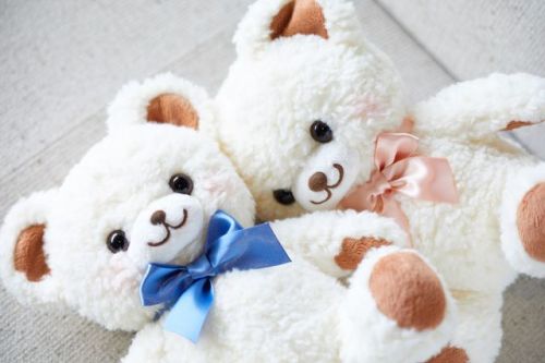 Bearsace / Kuma-tan Plushie Sale