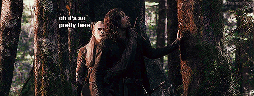 thranduilings:    Diva Legolas | Part 26: If You Don’t Reblog This I Will Tell