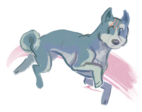 does anyone remember that anime about that dog that did front flips sonic the hedgehog style or are 